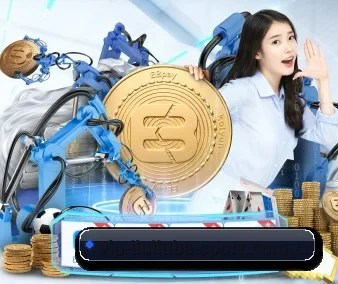 五大服务分区,信息按项目分类